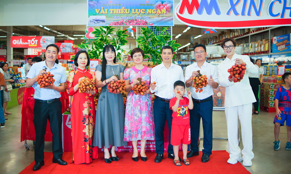 Bac Giang lychees attract customers at supermarkets and tourist hotspots